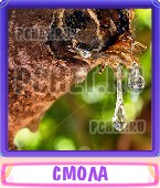 Прятки слов 5 Букв