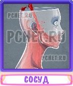 Прятки слов 5 Букв