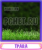 Прятки слов 5 Букв