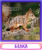 Прятки слов 5 Букв