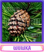 Прятки слов 5 Букв