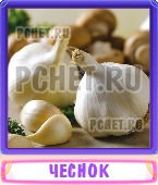 Прятки слов 6 Букв