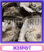 Прятки слов 6 Букв
