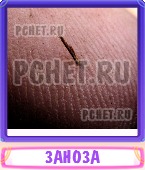 Прятки слов 6 Букв