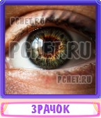 Прятки слов 6 Букв