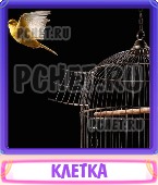 Прятки слов 6 Букв