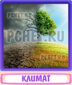 Прятки слов 6 Букв
