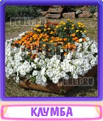 Прятки слов 6 Букв