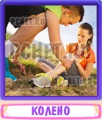 Прятки слов 6 Букв