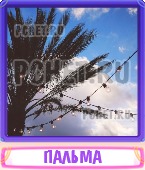 Прятки слов 6 Букв