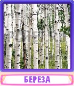 Прятки слов 6 Букв