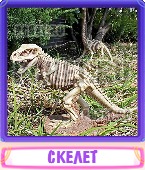 Прятки слов 6 Букв