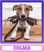 Прятки слов 6 Букв