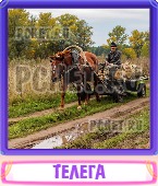 Прятки слов 6 Букв