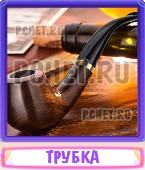 Прятки слов 6 Букв