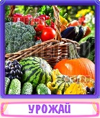 Прятки слов 6 Букв