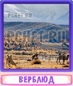 Прятки слов 7 Букв