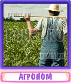 Прятки слов 7 Букв