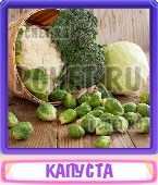 Прятки слов 7 Букв