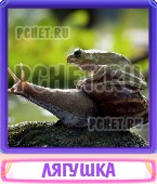 Прятки слов 7 Букв