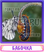 Прятки слов 7 Букв