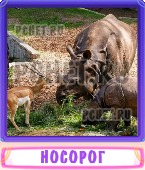 Прятки слов 7 Букв