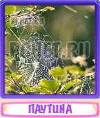 Прятки слов 7 Букв