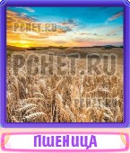 Прятки слов 7 Букв