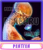 Прятки слов 7 Букв
