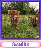 Прятки слов 7 Букв