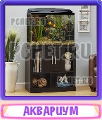 Прятки слов 8 Букв