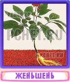 Прятки слов 8 Букв