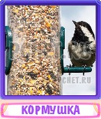 Прятки слов 8 Букв