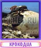 Прятки слов 8 Букв