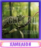 Прятки слов 8 Букв