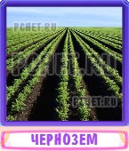 Прятки слов 8 Букв