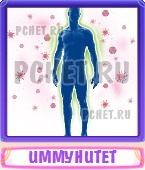 Прятки слов 9 Букв