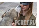 Ответы на игру Слова в связке 2