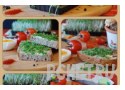 Ответы на игру Слова в связке 3 Ответы на игру Слова в связке 3