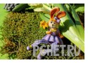 Ответы на игру Слова в связке 3 Ответы на игру Слова в связке 3