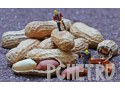 Ответы на игру Слова в связке 3 Ответы на игру Слова в связке 3