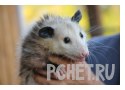 Ответы на игру Слова в связке 3 Ответы на игру Слова в связке 3