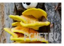 Ответы на игру Слова в связке 3 Ответы на игру Слова в связке 3