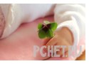 Ответы на игру Слова в связке 3 Ответы на игру Слова в связке 3