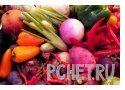 Ответы на игру Слова в связке 3 Ответы на игру Слова в связке 3