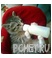 Кормление Кормление