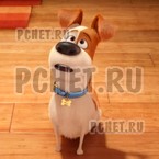 Ответы на игру Угадай мультик