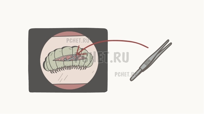 Прохождение игры Unwanted Experiment