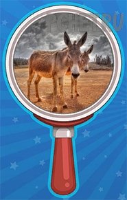 Уровень 341 ответ: Осел