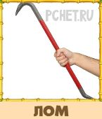 Птица Говорун 3 Буквы Птица Говорун 3 Буквы